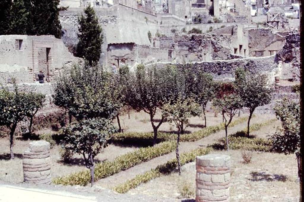 III.1/,2/18/19, Herculaneum. 1968. Area 31, looking north-west across garden. Photo by Stanley A. Jashemski.
Source: The Wilhelmina and Stanley A. Jashemski archive in the University of Maryland Library, Special Collections (See collection page) and made available under the Creative Commons Attribution-Non Commercial License v.4. See Licence and use details. J68f1821